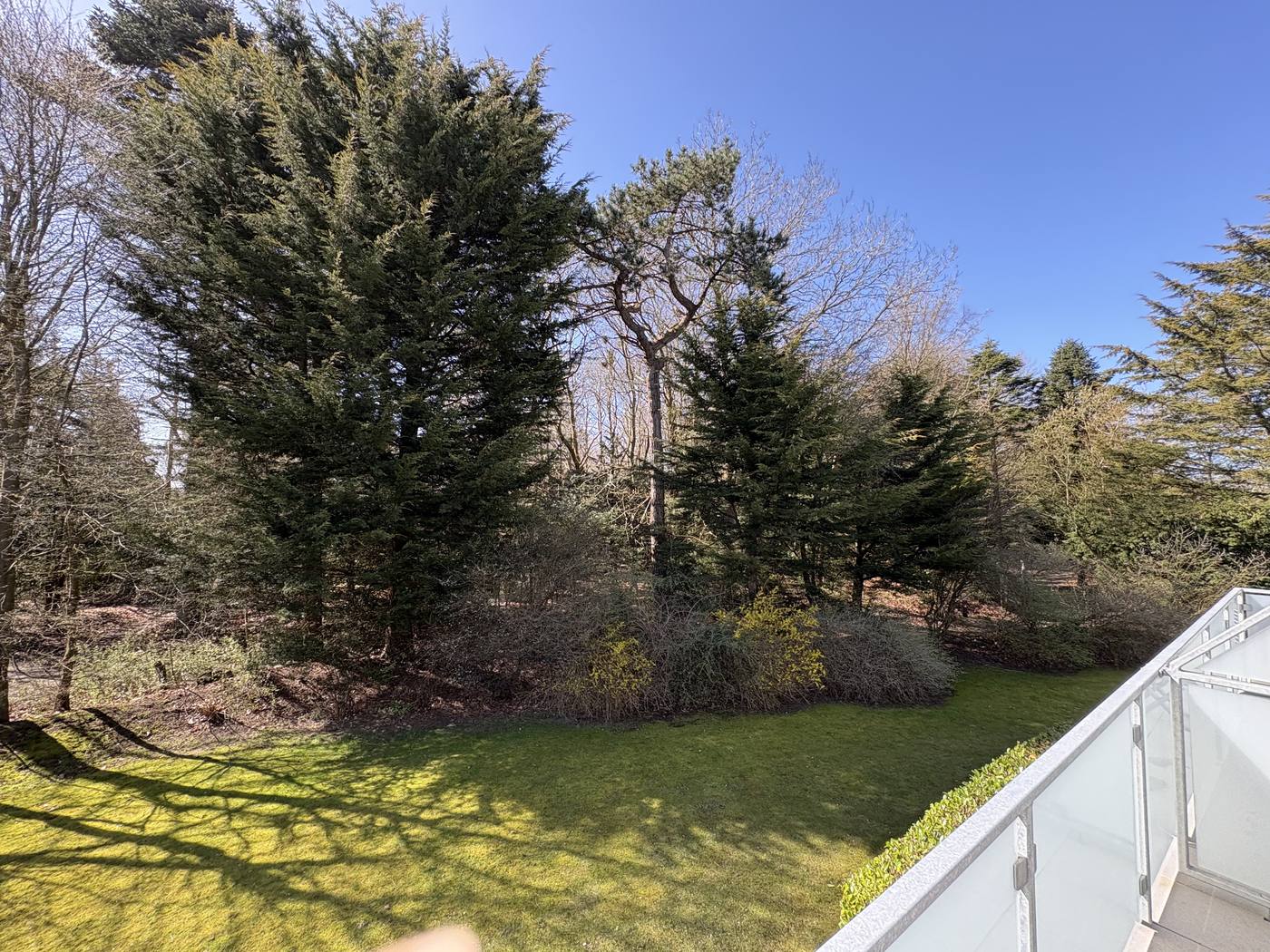Dachwohnung mit Gartenblick